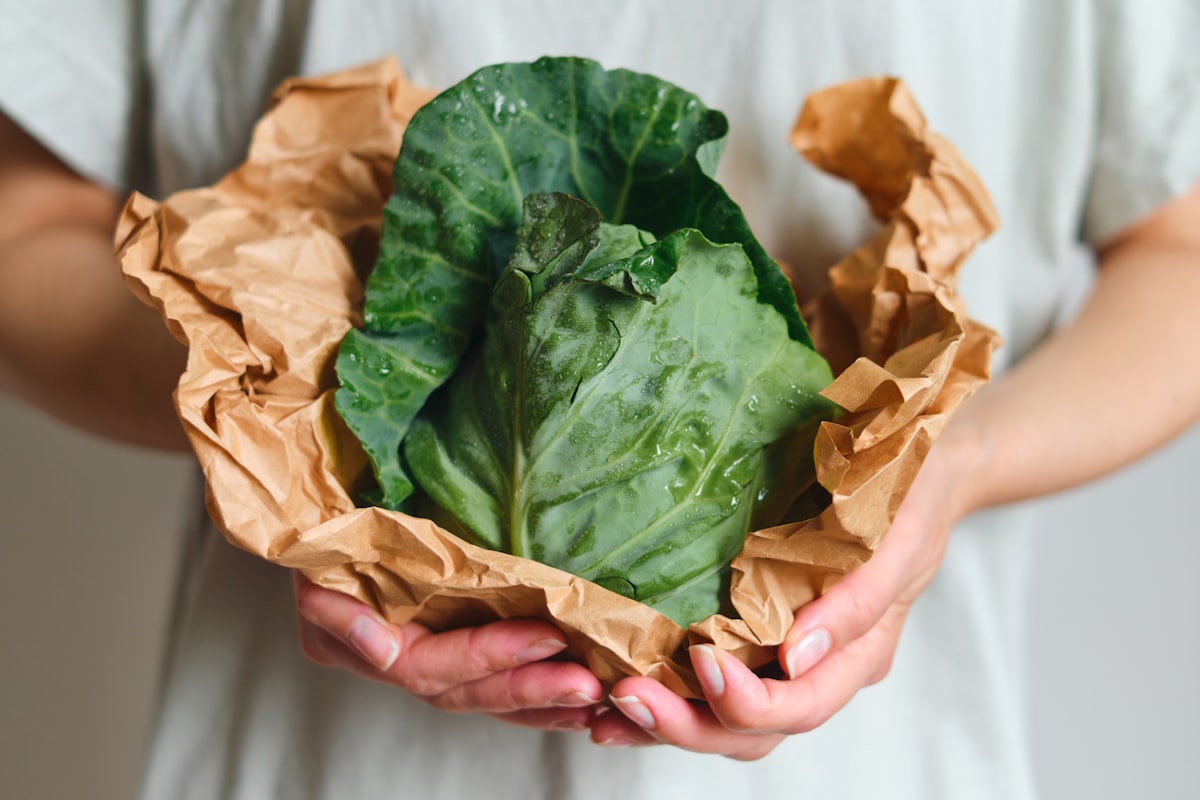 Органічний чай матча преміум якості